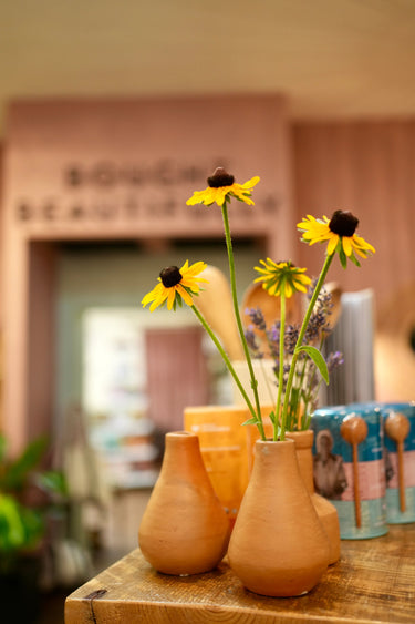 Terracotta Vases
